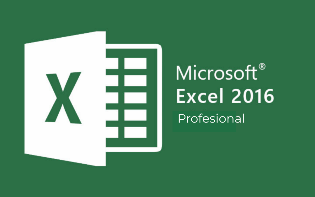 Excel profesional 2016
