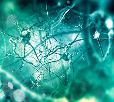 Trastorno obsesivo-compulsivo refractario