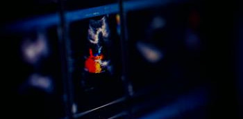 Cuándo solicitar un estudio ecocardiográfico