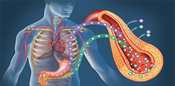 1ª ed Síndrome metabólico