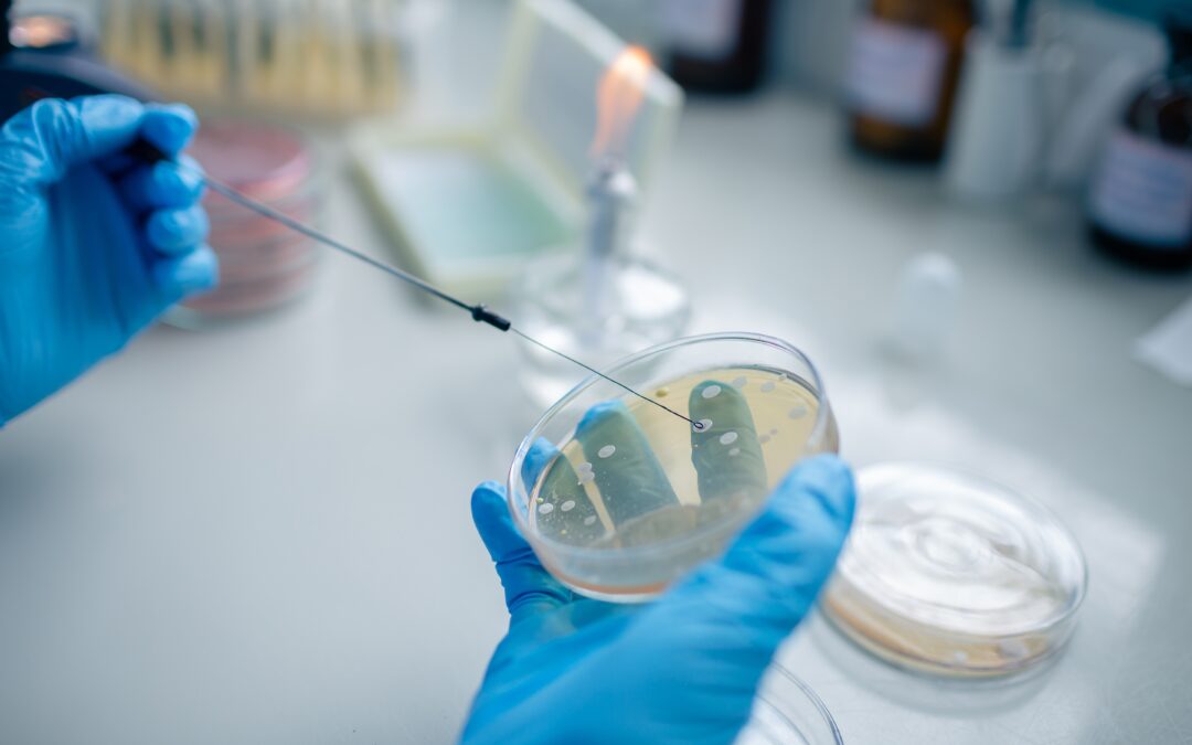 Microbiología y parasitología clínica