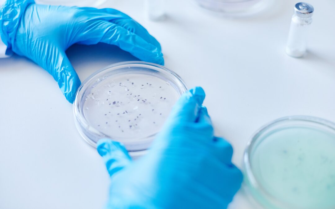 Itinerario en Bioquímica Clínica y Diagnóstico Tumoral